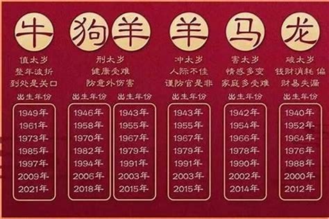 2023年属|2023年生肖属什么？